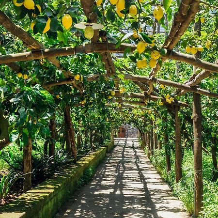 Agriturismo Il Giardino Di Vigliano Massa Lubrense Luaran gambar