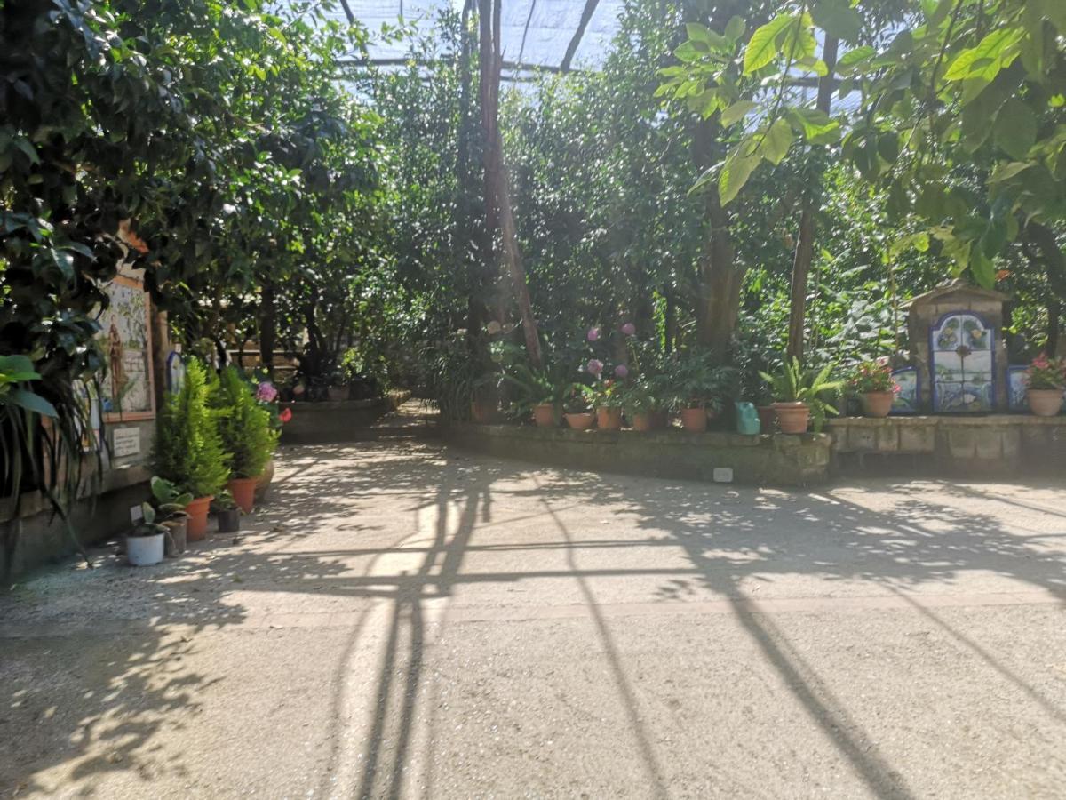 Agriturismo Il Giardino Di Vigliano Massa Lubrense Luaran gambar