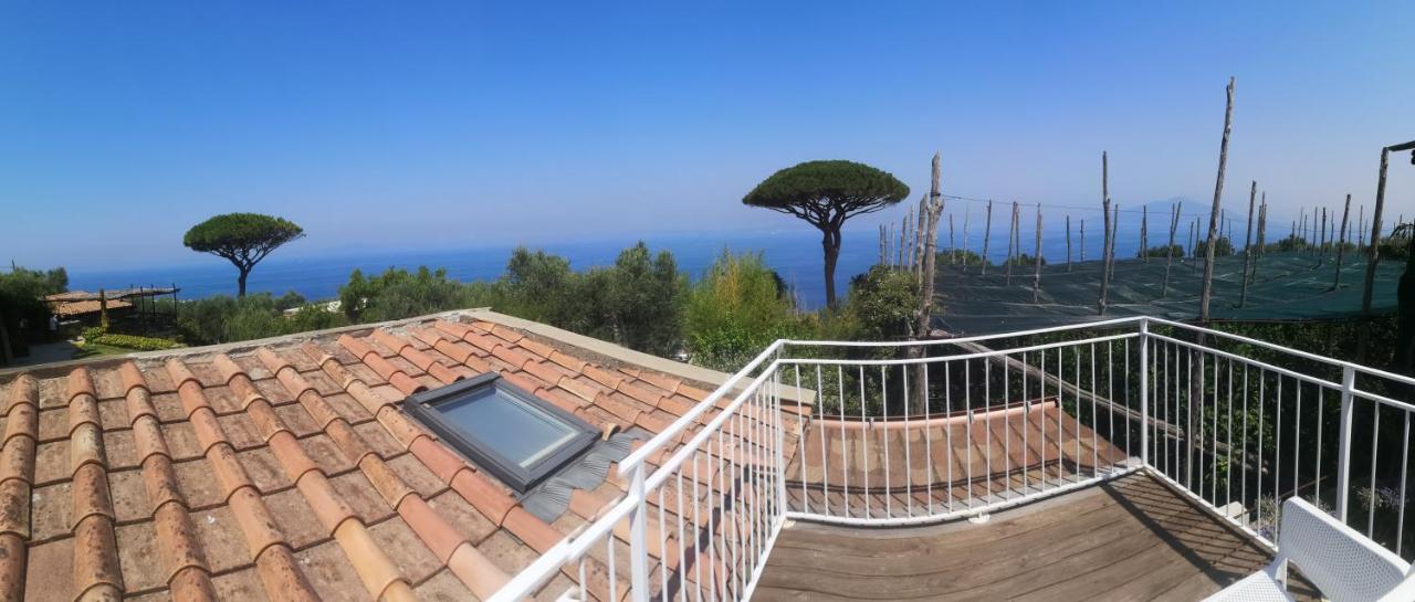 Agriturismo Il Giardino Di Vigliano Massa Lubrense Luaran gambar