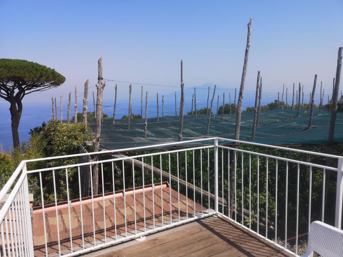 Agriturismo Il Giardino Di Vigliano Massa Lubrense Luaran gambar