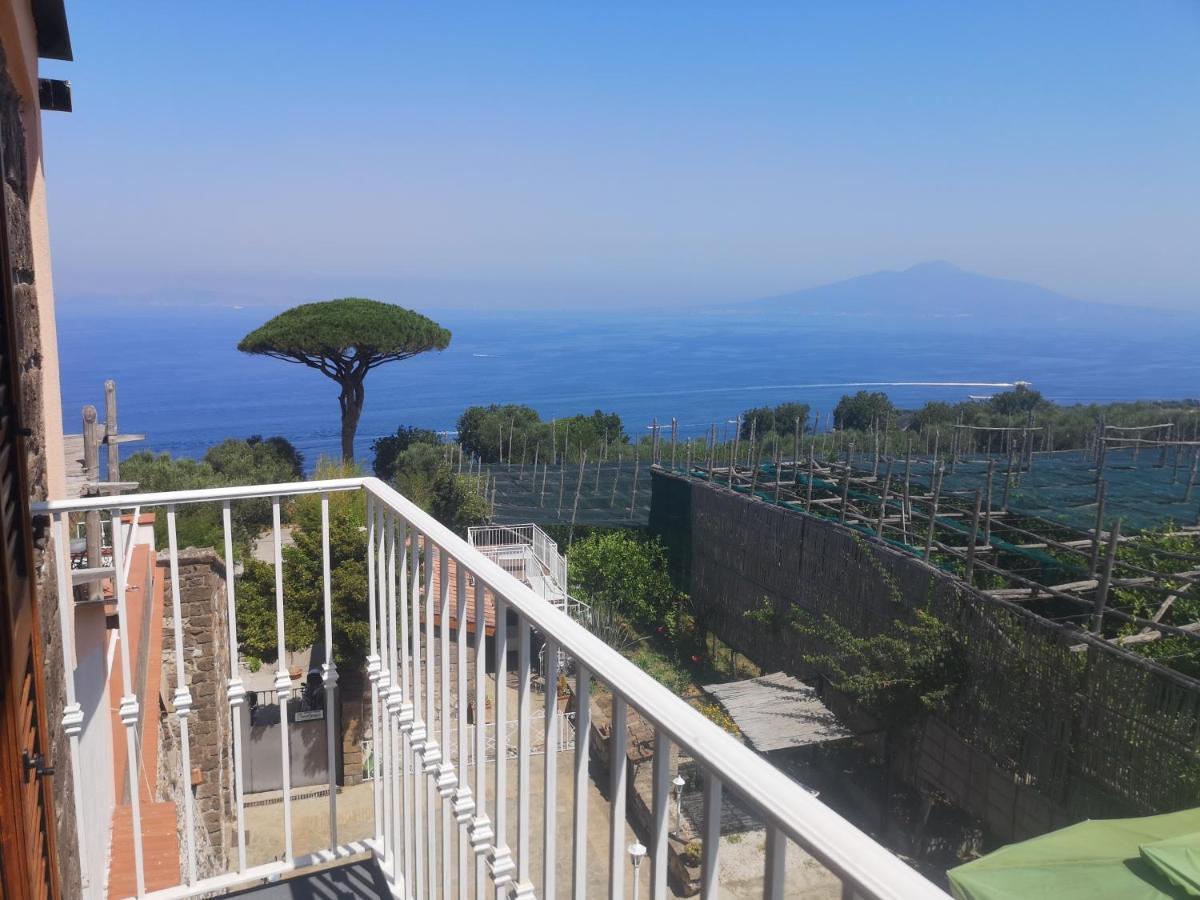 Agriturismo Il Giardino Di Vigliano Massa Lubrense Luaran gambar