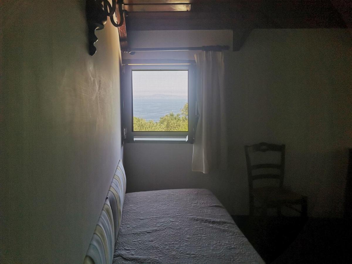 Agriturismo Il Giardino Di Vigliano Massa Lubrense Luaran gambar