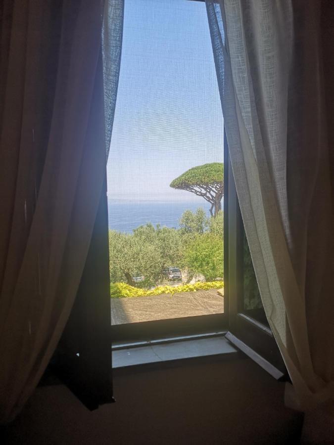 Agriturismo Il Giardino Di Vigliano Massa Lubrense Luaran gambar