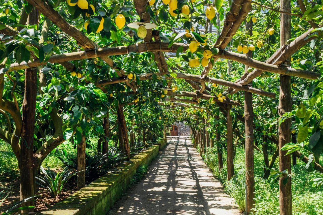Agriturismo Il Giardino Di Vigliano Massa Lubrense Luaran gambar