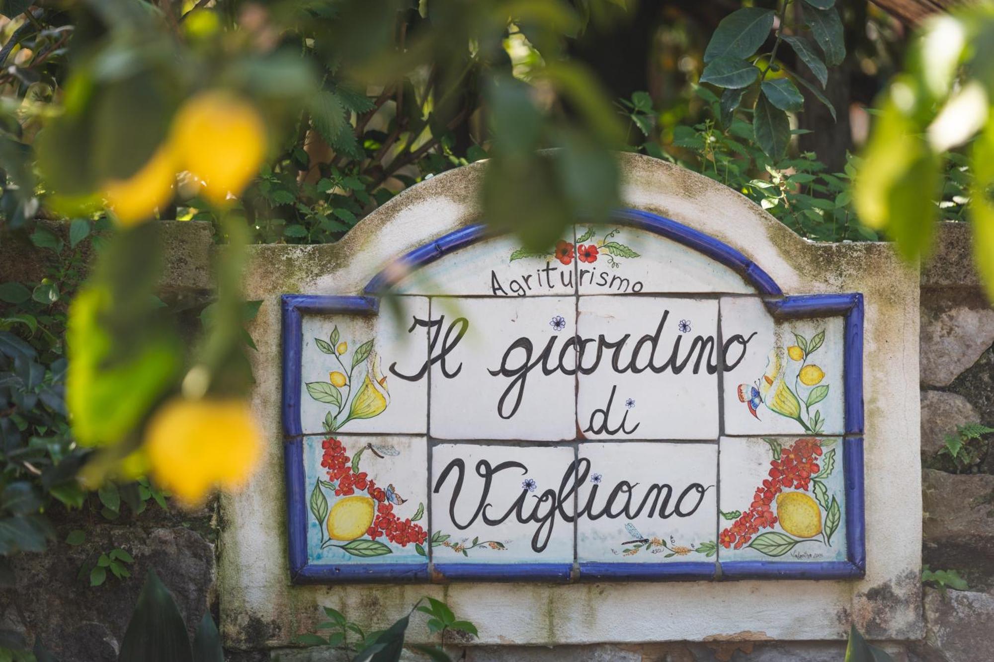 Agriturismo Il Giardino Di Vigliano Massa Lubrense Luaran gambar
